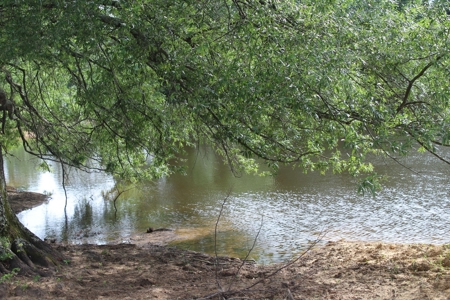East Texas Land For Sale - Country Home - Winnsboro, Tx - image 13