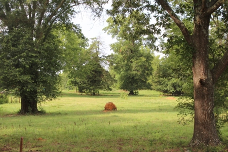 East Texas Land For Sale - Country Home - Winnsboro, Tx - image 14