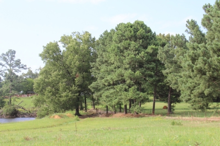 East Texas Land For Sale - Country Home - Winnsboro, Tx - image 18