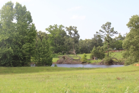 East Texas Land For Sale - Country Home - Winnsboro, Tx - image 17