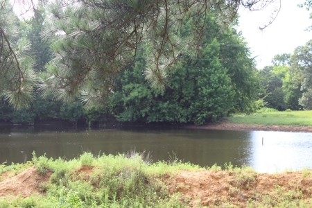 East Texas Land For Sale - Country Home - Winnsboro, Tx - image 15