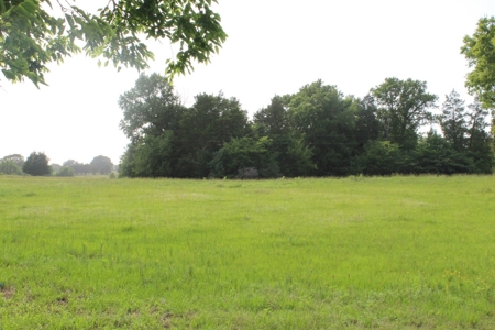 East Texas Land For Sale - Country Home - Winnsboro, Tx - image 24