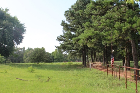 East Texas Land For Sale - Country Home - Winnsboro, Tx - image 25