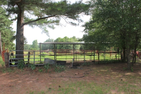 East Texas Land For Sale - Country Home - Winnsboro, Tx - image 10