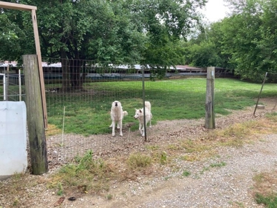 For Sale Turn Key Business On 26 Acres - image 1