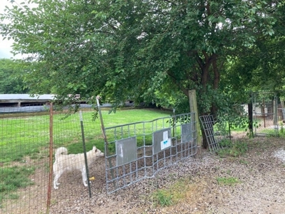 For Sale Turn Key Business On 26 Acres - image 11