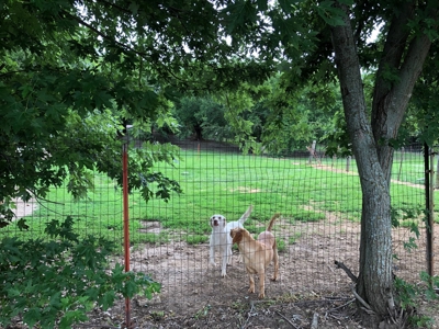 For Sale Turn Key Business On 26 Acres - image 37
