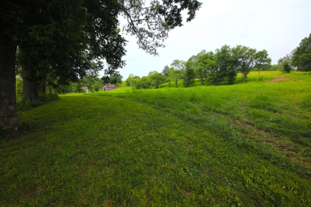 Lot for Sale on Spring River, Arkansas - image 4