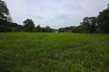 Lot for Sale on Spring River, Arkansas - image 2