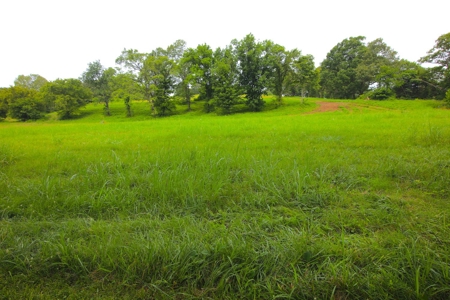 Riverfront Property for Sale in Arkansas - image 2