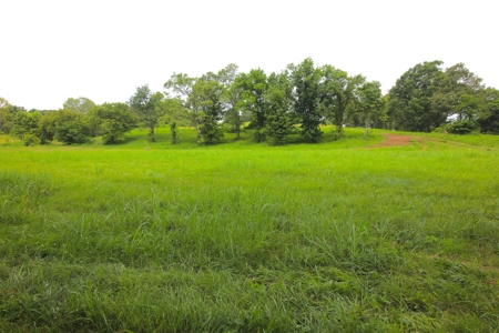 Riverfront Property for Sale in Arkansas - image 3