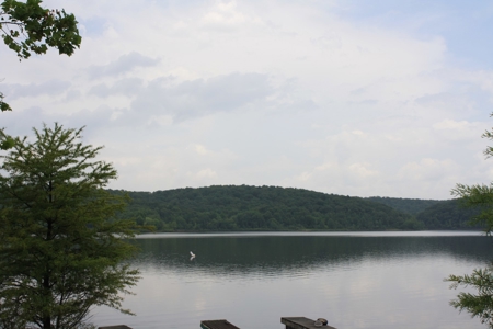 MO Cabin For Sale - image 19