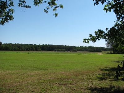 Waterfront Lot For Sale In Savannah, Tn On Indian Creek - image 7