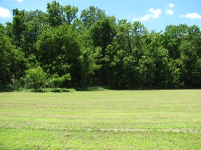 Waterfront Lot For Sale In Savannah, Tn On Indian Creek - image 2