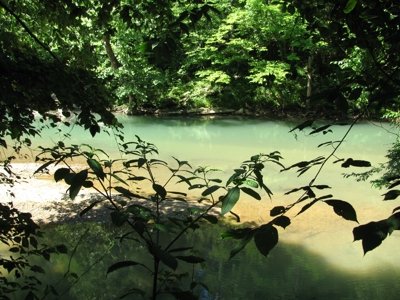 Waterfront Lot For Sale In Savannah, Tn On Indian Creek - image 1