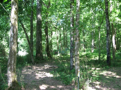 Waterfront Lot For Sale In Savannah, Tn On Indian Creek - image 15