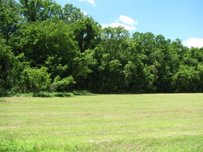 Waterfront Lot For Sale In Savannah, Tn On Indian Creek - image 9