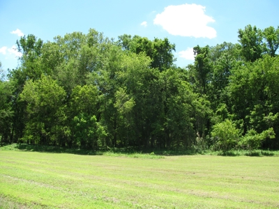 Waterfront Lot For Sale In Savannah, Tn On Indian Creek - image 8