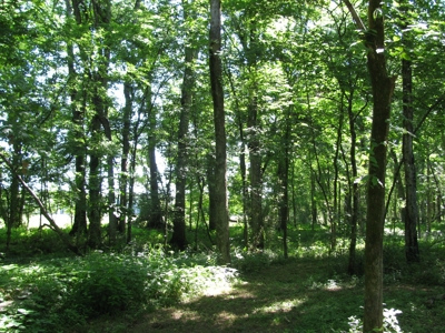 Waterfront Lot For Sale In Savannah, Tn On Indian Creek - image 20