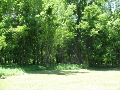 Waterfront Lot For Sale In Savannah, Tn On Indian Creek - image 10