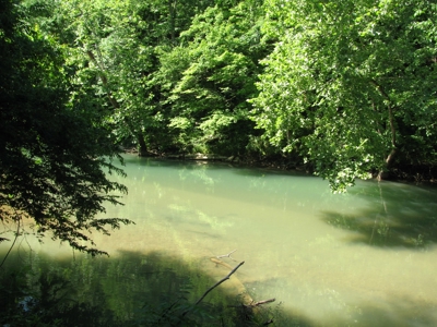Waterfront Lot For Sale In Savannah, Tn On Indian Creek - image 5