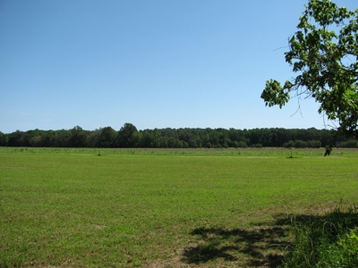 Waterfront Lot For Sale In Savannah, Tn On Indian Creek - image 26