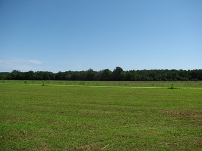 Waterfront Lot For Sale In Savannah, Tn On Indian Creek - image 27