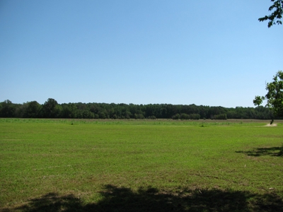 Waterfront Lot For Sale In Savannah, Tn On Indian Creek - image 24