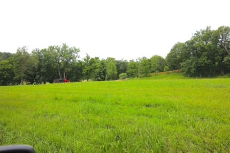 Riverfront Property for Sale in Arkansas - image 2