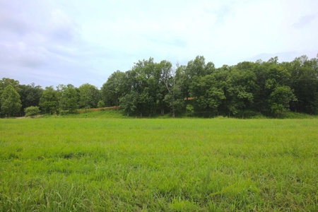 River Lot for Sale on Spring River Arkansas - image 3