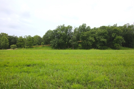 Riverfront Property for Sale in the Ozarks - image 2