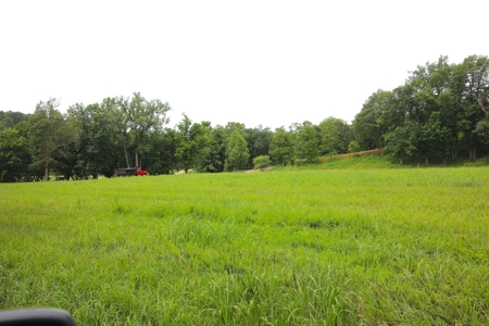 Riverfront Property for Sale in the Ozarks - image 1