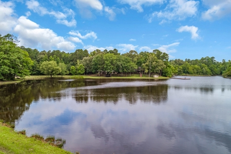 East Texas Private Oasis - Stocked Lake - 28 + Wooded Acres - image 4