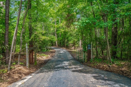 East Texas Private Oasis - Stocked Lake - 28 + Wooded Acres - image 6