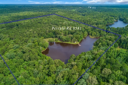 East Texas Private Oasis - Stocked Lake - 28 + Wooded Acres - image 2