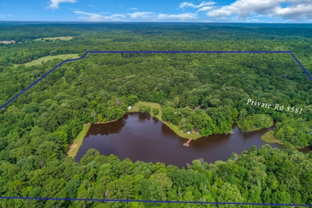 East Texas Private Oasis - Stocked Lake - 28 + Wooded Acres - image 3