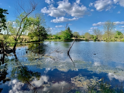 Land for Sale with Fishing Ponds Lincoln County Oklahoma - image 10