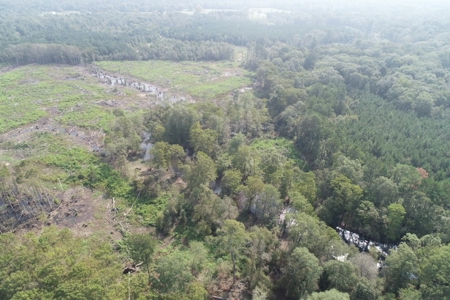 Hunting Land along Bayou D'Loutre for Sale in Union Pa., LA - image 18
