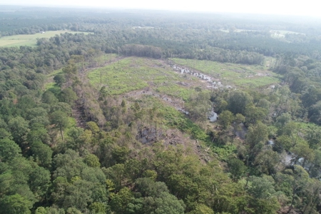 Hunting Land along Bayou D'Loutre for Sale in Union Pa., LA - image 19