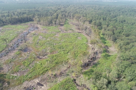 Hunting Land along Bayou D'Loutre for Sale in Union Pa., LA - image 22