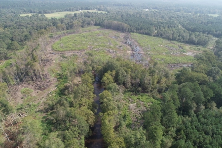 Hunting Land along Bayou D'Loutre for Sale in Union Pa., LA - image 17