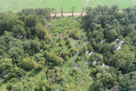 Hunting Land along Bayou D'Loutre for Sale in Union Pa., LA - image 9