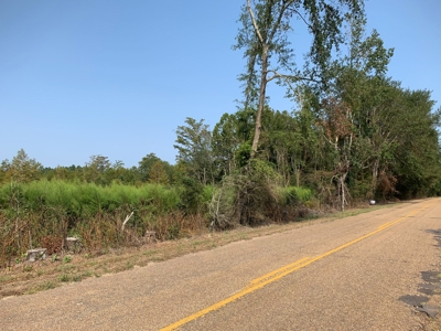 Hunting Land along Bayou D'Loutre for Sale in Union Pa., LA - image 5