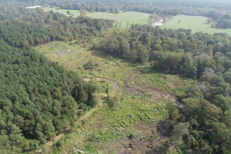 Hunting Land along Bayou D'Loutre for Sale in Union Pa., LA - image 11