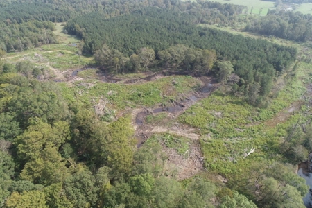 Hunting Land along Bayou D'Loutre for Sale in Union Pa., LA - image 13