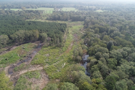 Hunting Land along Bayou D'Loutre for Sale in Union Pa., LA - image 12