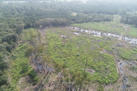 Hunting Land along Bayou D'Loutre for Sale in Union Pa., LA - image 20