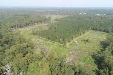 Hunting Land along Bayou D'Loutre for Sale in Union Pa., LA - image 7