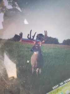 Southeast Iowa Home & Hunting Land For Sale with Pond - image 3