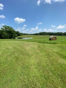 Southeast Iowa Home & Hunting Land For Sale with Pond - image 17